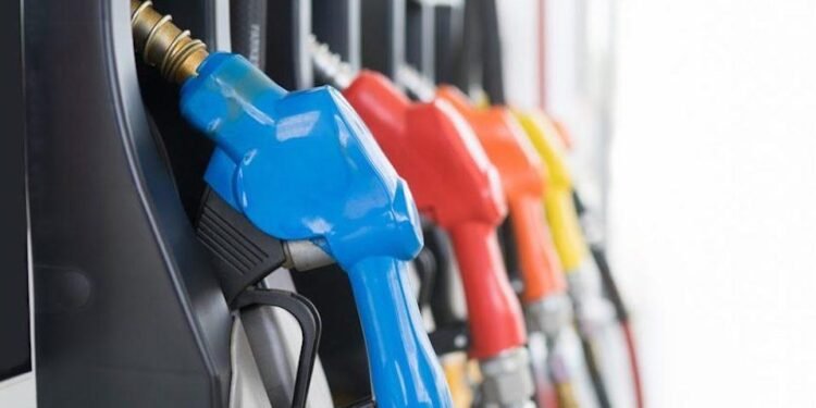 Crédito Foto Divulgação