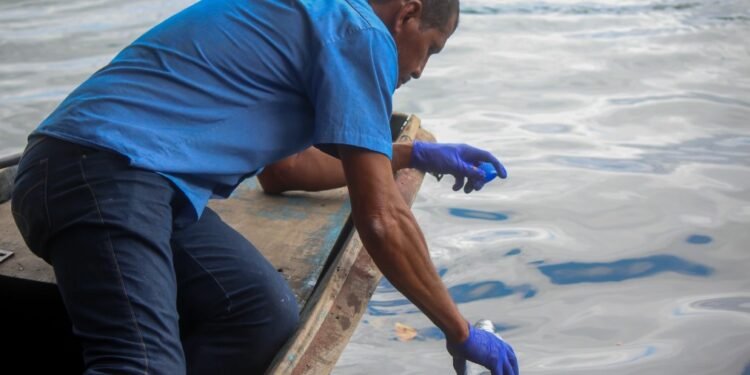 Fotos: Edinazio Dias/PMJ