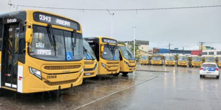 Veículos vão reforçar a frota. Crédito: Gil Santos/ Arquivo CORREIO