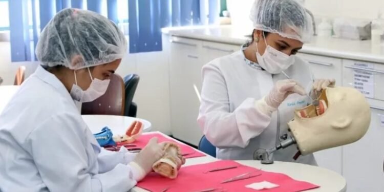 Registro em Carteira do Trabalho, dos técnicos em enfermagem, tem sido feita como auxiliar de saúde bucal - Foto: Divulgação | Câmara Municipal de Feira de Santana
