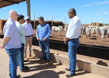 Crédito: Foto Divulgação