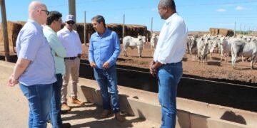 Crédito: Foto Divulgação