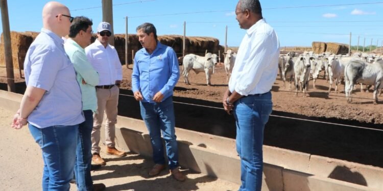 Crédito: Foto Divulgação