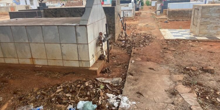 Crédito Foto: Divulgação