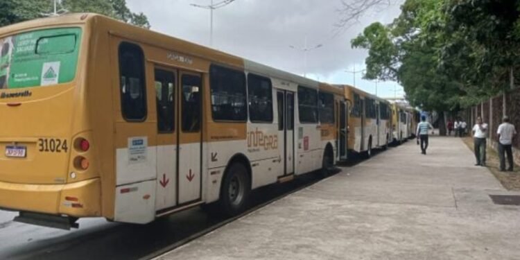 Ônibus não estão circulando. Crédito: Gil Santos/CORREIO