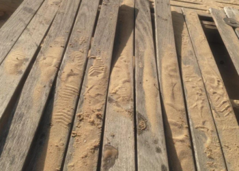 Crédito Foto: Divulgação