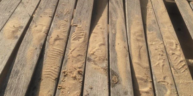 Crédito Foto: Divulgação