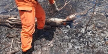 Foto: Corpo de Bombeiros da Bahia