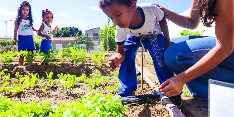 Fotos: Luan Medrado – Ascom/PMJ