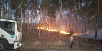 Combate às chamas em Morro do Chapéu. Crédito: divulgação