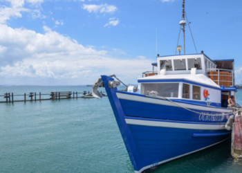 Crédito: Elias Dantas / Alô Alô Bahia