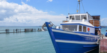 Crédito: Elias Dantas / Alô Alô Bahia