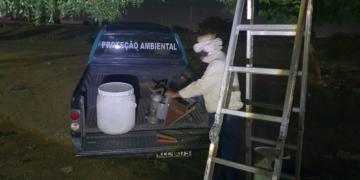 Crédito Foto: Divulgação