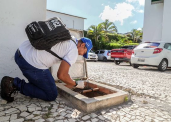 CCZ realiza inspeção contra mosquitos. Crédito: Divulgação