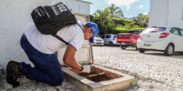 CCZ realiza inspeção contra mosquitos. Crédito: Divulgação