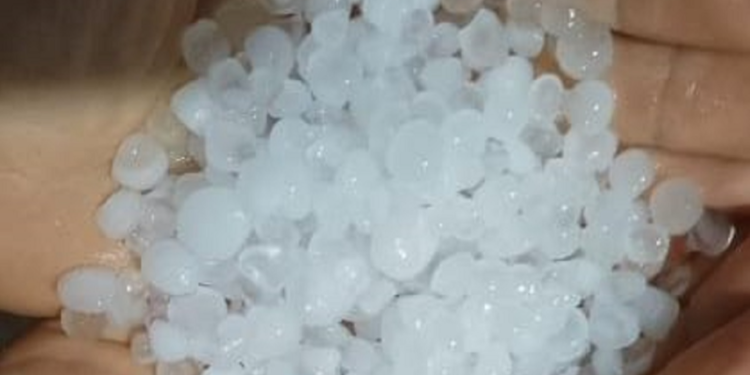 Crédito: Reprodução