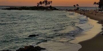 null Crédito: Reprodução / La Sirena