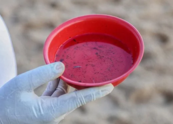 Dengue hemorrágica já é causa de seis mortes na Bahia em 2023 Crédito: Bruno Concha/Secom