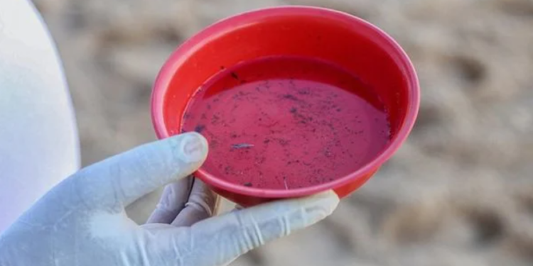 Dengue hemorrágica já é causa de seis mortes na Bahia em 2023 Crédito: Bruno Concha/Secom