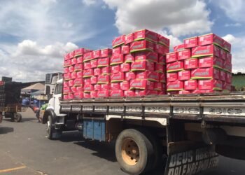 Banco de Alimentos cresce quase 40% em arrecadações em 2023