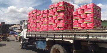 Banco de Alimentos cresce quase 40% em arrecadações em 2023