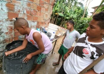 Feira de Santana e Vitoria da Conquista puxam alta de casos de dengue na Bahia