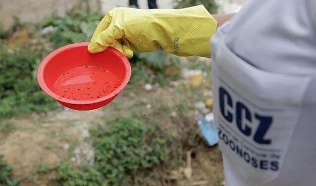 Dengue Crédito: Bruno Concha/Secom