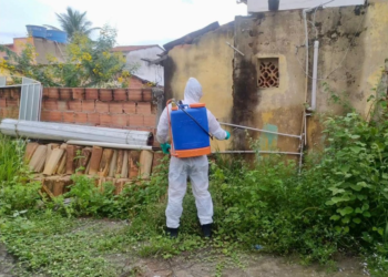 Mutirão de combate à Dengue é intensificado em áreas de difícil acesso em Piripá Crédito: Divulgação