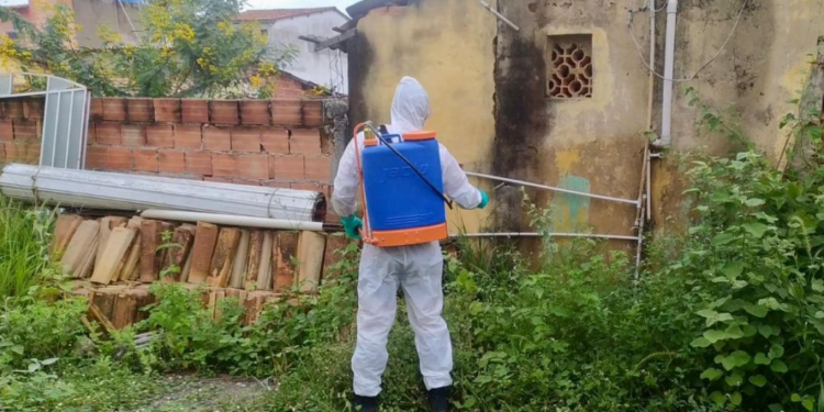 Mutirão de combate à Dengue é intensificado em áreas de difícil acesso em Piripá Crédito: Divulgação