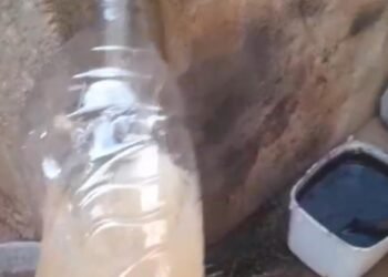 “É água ou suco de maracujá?”: indaga morador sobre água fornecida pelo SAAE