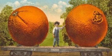 Propaganda da laranja baiana travestida de norte-americana Crédito: Library of Congress