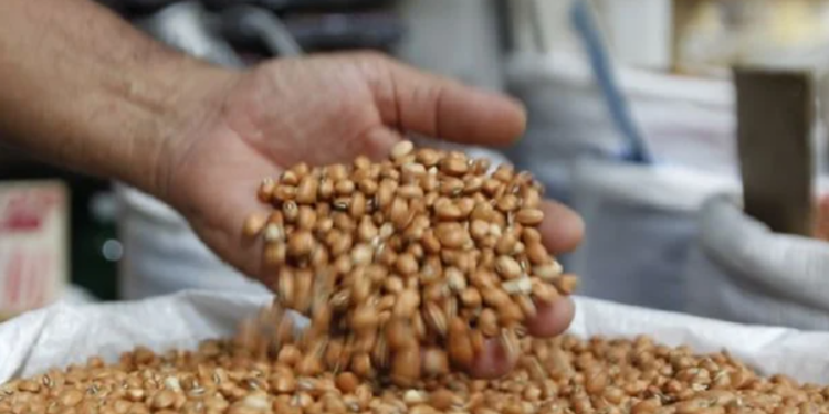 Feijão Crédito: Arisson Marinho/Arquivo CORREIO