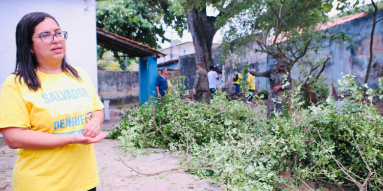 Salvador Contra a Dengue: confira a programação do CCZ para o combate à Dengue nesta semana Crédito: Divulgação
