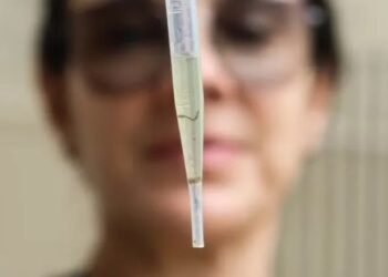 Subúrbio tem maior índice de infestação da dengue em Salvador. Foto: Rogério Capela/Divulgação