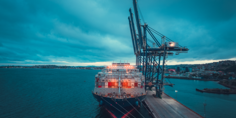 Algodão produzido na Bahia é exportado pela primeira vez para o Egito