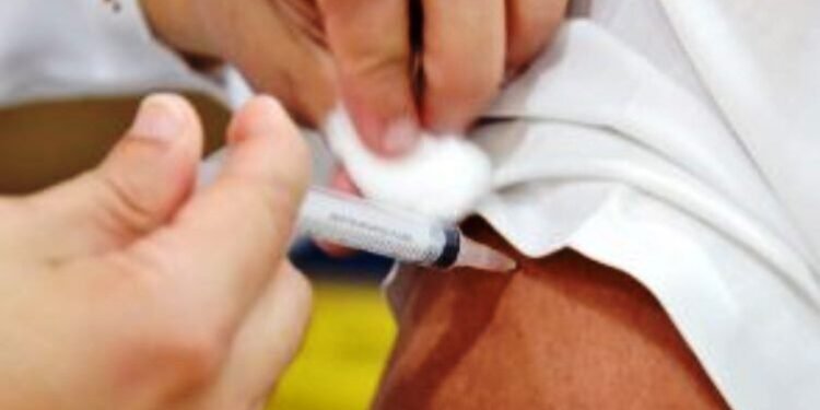 Crédito Foto: Divulgação