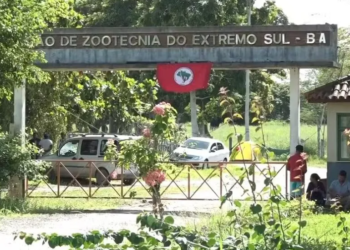 Segundo o Ministério da Agricultura, a área é produtiva há mais de 40 anos - Foto: Reprodução | Jornal Nacional