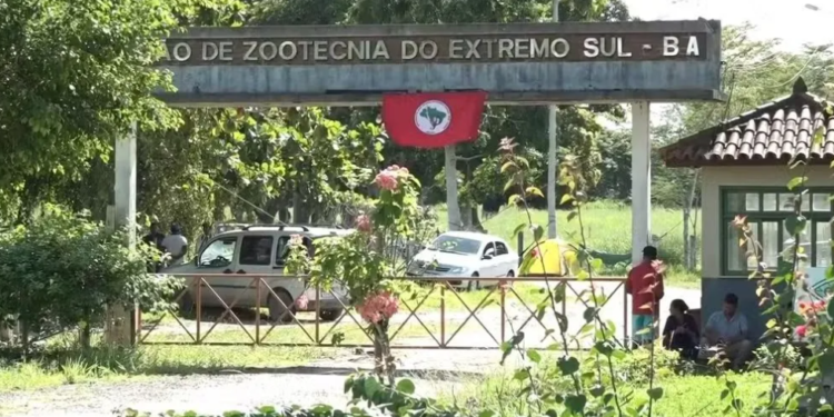 Segundo o Ministério da Agricultura, a área é produtiva há mais de 40 anos - Foto: Reprodução | Jornal Nacional