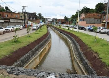 Antes, local tinha apenas vegetação e insetos Crédito: Valter Pontes / Secom PMS