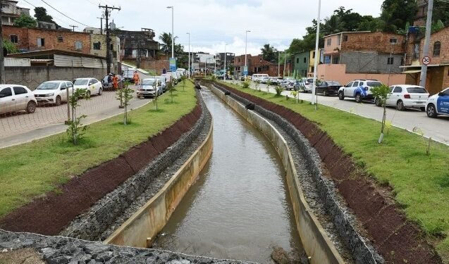 Antes, local tinha apenas vegetação e insetos Crédito: Valter Pontes / Secom PMS