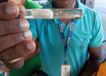 Dengue tem mais casos em Conquista Crédito: Divulgação