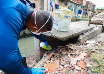 A Prefeitura realizou ações de inspeção e controle de infestação de roedores em cinco distritos sanitários de Salvador Crédito: Bruno Concha / Secom PMS