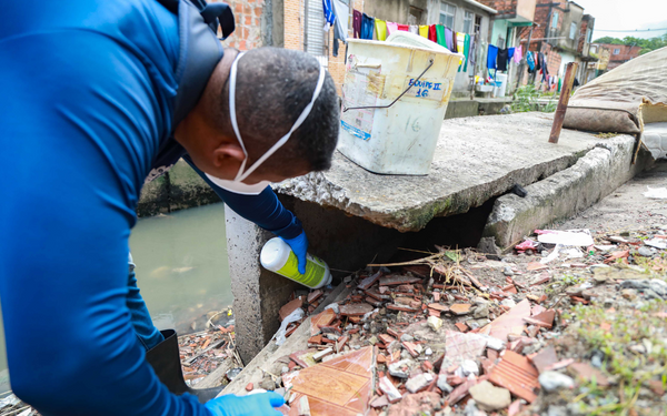 A Prefeitura realizou ações de inspeção e controle de infestação de roedores em cinco distritos sanitários de Salvador Crédito: Bruno Concha / Secom PMS