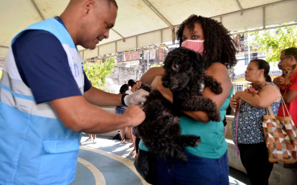 Foto: Jefferson Peixoto/Secom