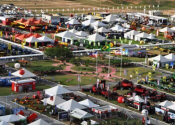 Foto: Divulgação/Bahia Farm