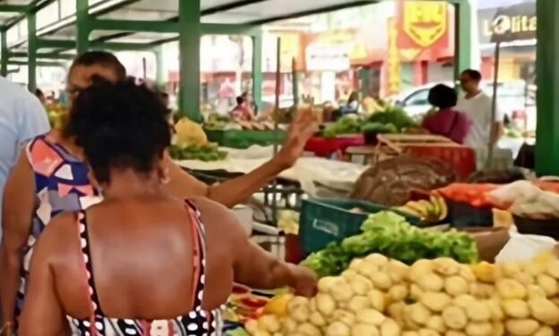 Motivação teria sido teria sido o fato das peças terem a marca da Companhia de Desenvolvimento e Ação Regional (CAR), órgão vinculado ao Governo do Estado - Foto: Jéssica Stefany: