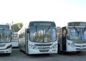 Ônibus da Região Metropolitana de Salvador — Foto: Reprodução/TV Bahia