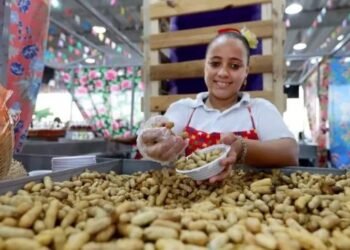 As inscrições ocorrem por meio do SineBahia - Foto: Joá Souza / GOVBA