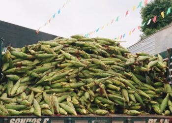 Feira de São João retorna e deve movimentar a economia em junho
