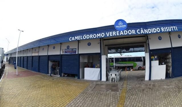 Prefeitura inaugura camelódromo com mais de 110 boxes